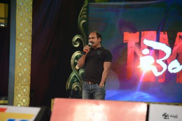 Temper Movie Audio Launch